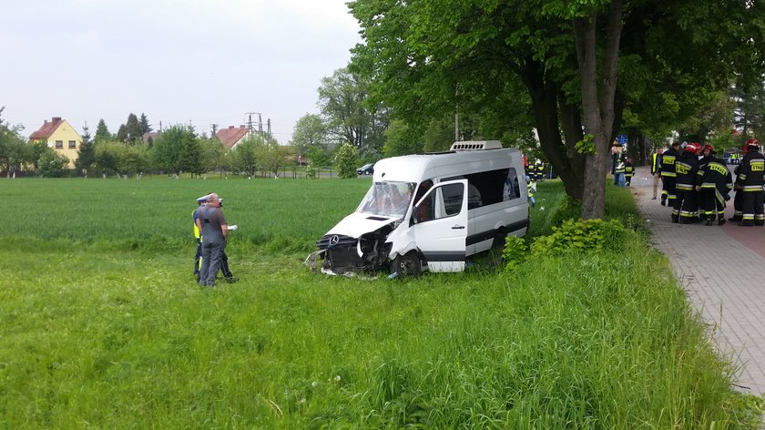 Wypadek na Opolszczyźnie. Bus uderzył w drzewo 