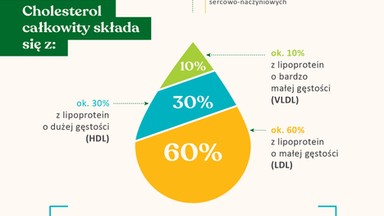 Cholesterol - wszystko, co musisz o nim wiedzieć [INFOGRAFIKA]