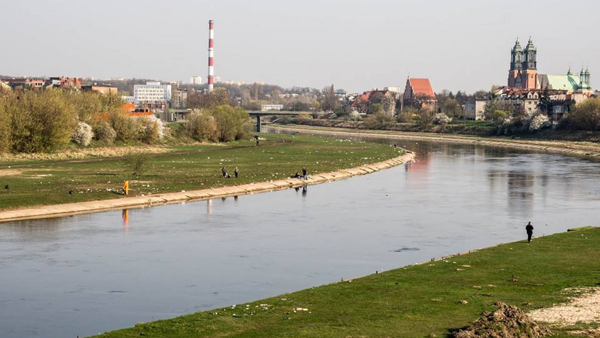 Poznaniacy zachęceni wiosenną, ciepłą pogodą tłumnie ruszyli nad Wartę. Wielu z nich, pomimo licznych apeli, zostawiło po sobie sterty śmieci. Butelki, pety, kapsle wypełniły worki, które z nadwarciańskich terenów wynosiły ekipy sprzątające. - Poznaniacy niestety pokazali się z jak najgorszej strony - komentują radni Osiedla Stare Miasto.