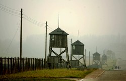 Śledczy sprawdzą, czy Szwed malował obraz prochami ofiar Majdanka