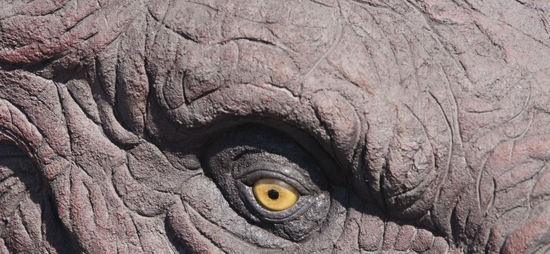 Niezwykłe odkrycie w Hiszpanii. Znaleziono dobrze zachowane skamieniałe jaja dinozaura
