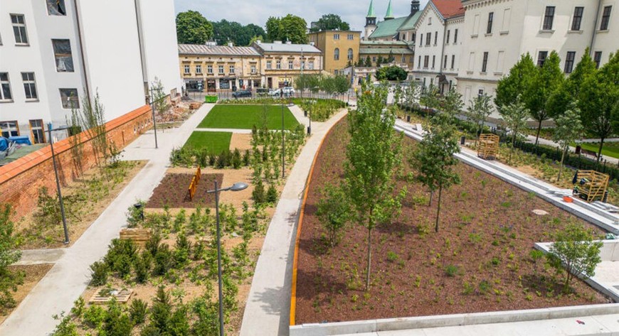 Wśród projektów dzielnicowych dominowała zieleń (35 proc.)