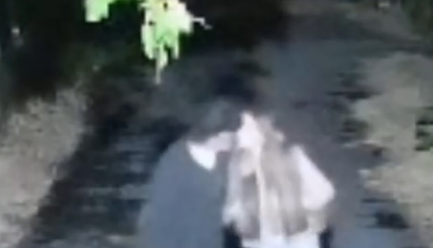 Oglasio se Dane (70) i otkrio šok detalje afere sa Sofijom Janićijević