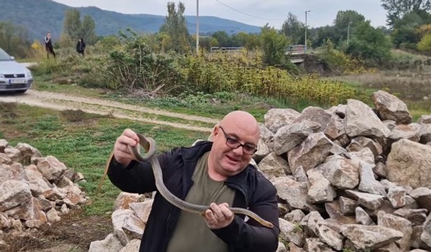 Uhvaćena zmija u Pirotu