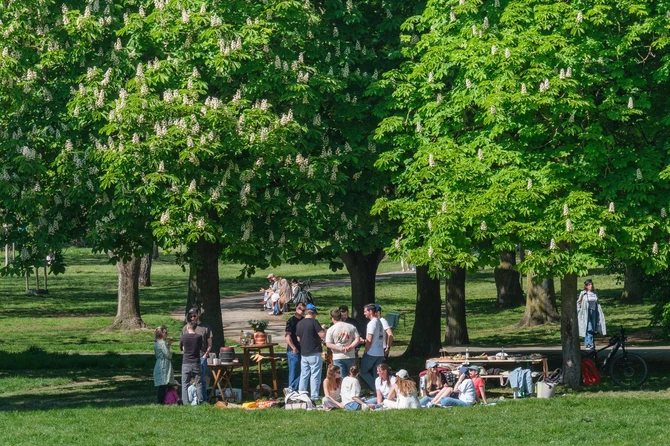 Piknik