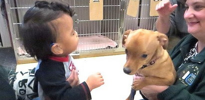 Chłopiec z wodogłowiem i pies z tą samą chorobą