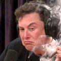 Elon Musk palił trawkę podczas wywiadu. Niedawno przekonywał, że marihuana zabija produktywność