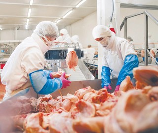 Drobiarze czekają na wznowienie eksportu do Chin