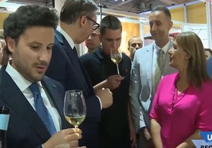 Aleksandar Vučić, Danilo Vučić