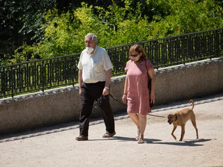 Obowiązek uiszczania opłaty od psa zapisano w ustawie o podatkach i opłatach lokalnych z 12 stycznia 1991 r. Seniorzy w Polsce są zwolnieni z podatku od psa