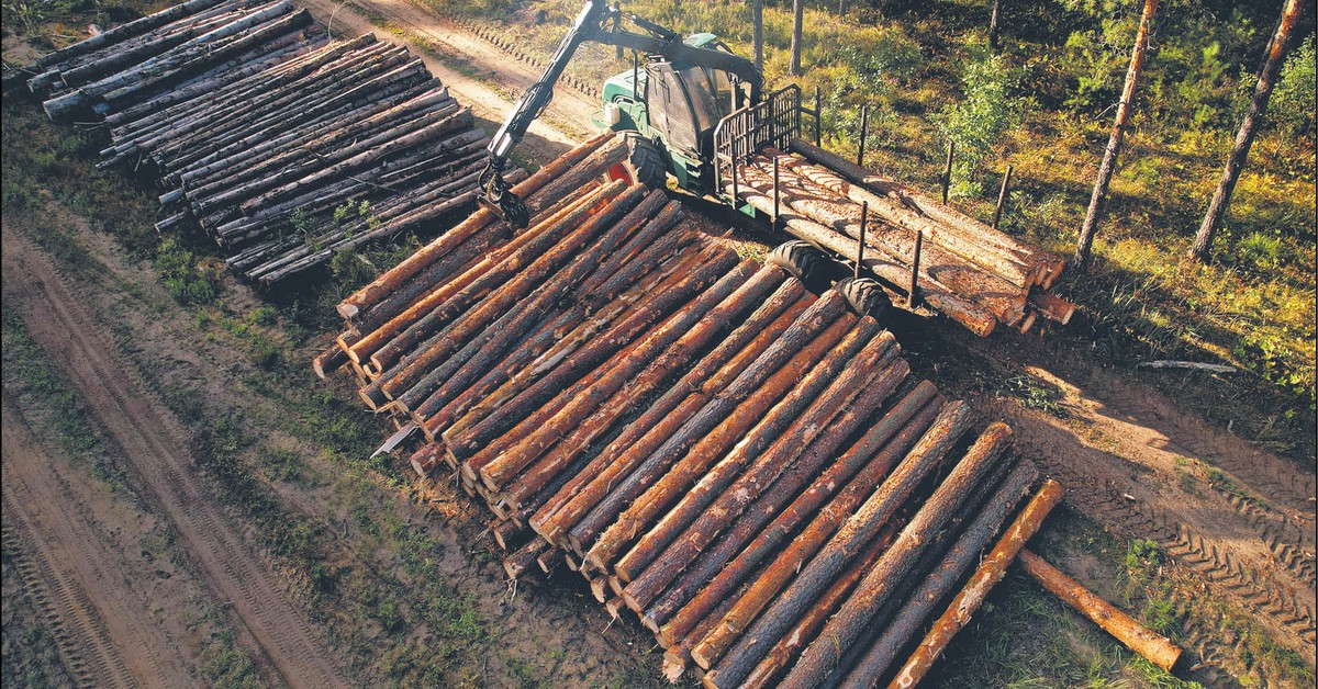 EUDR na nowo. Mniej biurokracji, ale czasu też mało
