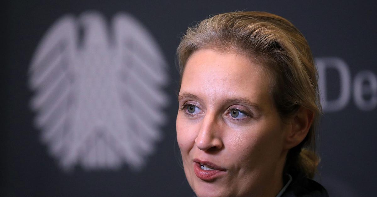  Lesbijka z AfD będzie nowym kanclerzem Niemiec? Oto sylwetka Alice Weidel