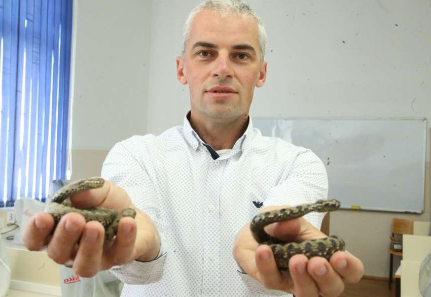 Goran Šukalo, profesor, zmije