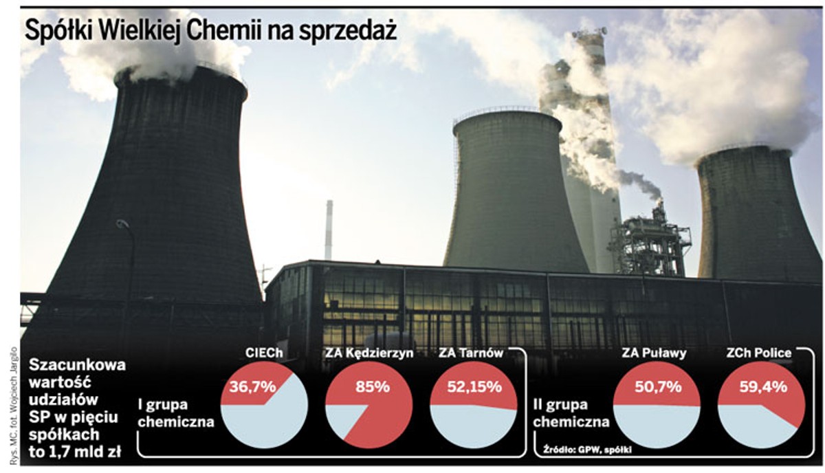 Spółki Wielkiej Chemii na sprzedaż