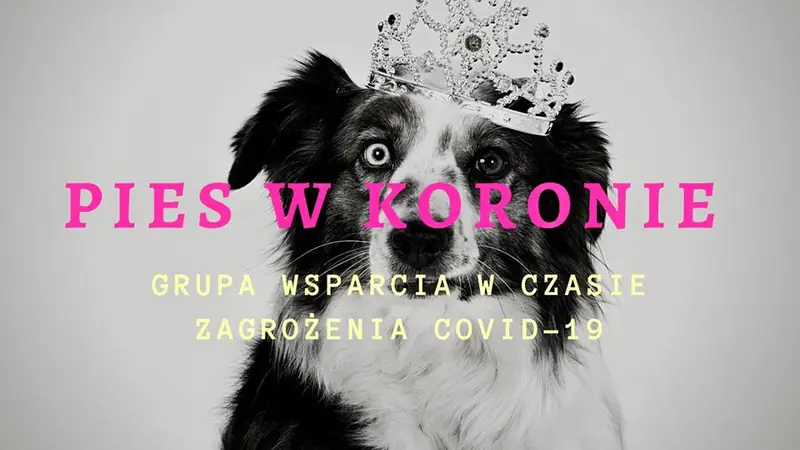 W czasie kwarantanny wsparcia potrzebuje również właściciele czworonogów, fot. fb / Pies w koronie