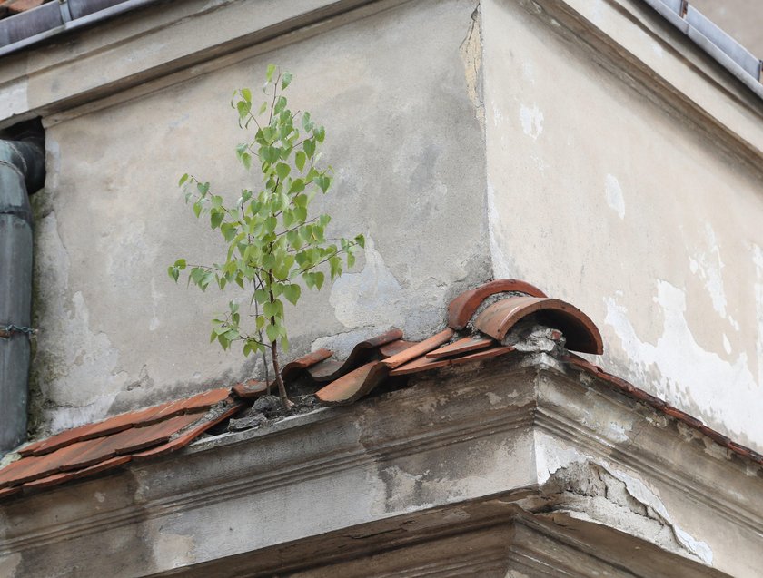 Poczta na Wilanowie rozpada się