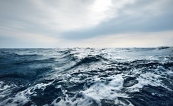 Szwedzki prom wpłynął na mieliznę. Trwa ewakuacja kilkudziesięciu pasażerów