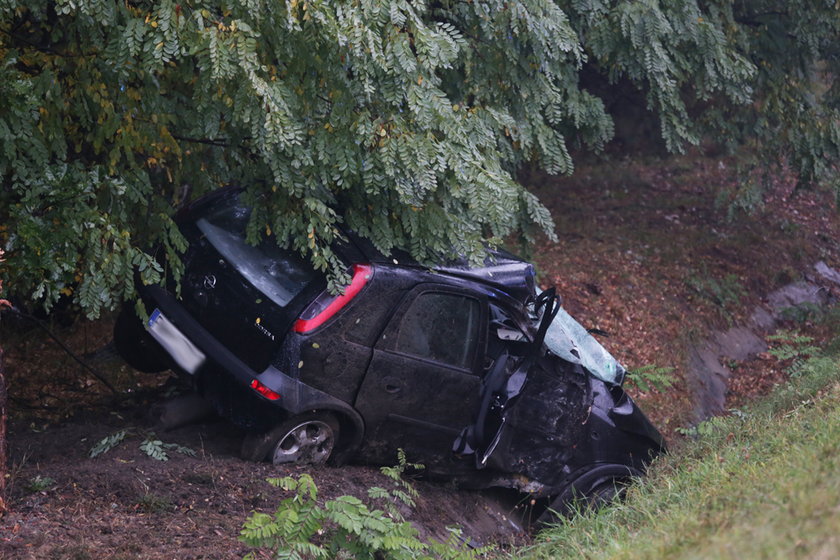 Wypadek w Zielonej Górze. Auto wbiło się w drzewo 