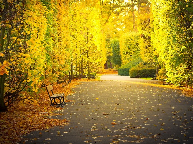 Park Oliwski w Gdańsku