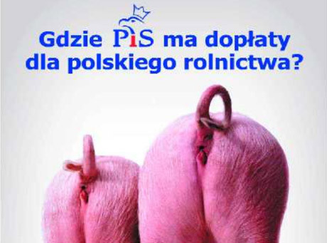 Kaczyński: Zaszkodziły nam świńskie zady