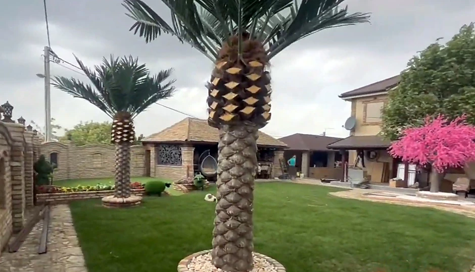 Aleksandra Subotić vila