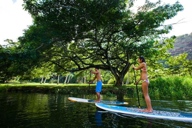 Galeria USA - Hawaje - Oahu - wyspa "Zagubionych", obrazek 22