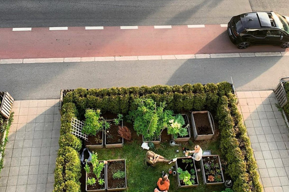 Pokrenuta peticija da Njegoševa ulica na Vračaru bude šetačka zona (FOTO)