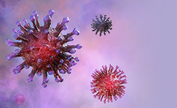 O wykryciu w RPA nowej mutacji koronawirusa, nazwanej 501Y.V2, tamtejszy resort zdrowia poinformował 18 grudnia