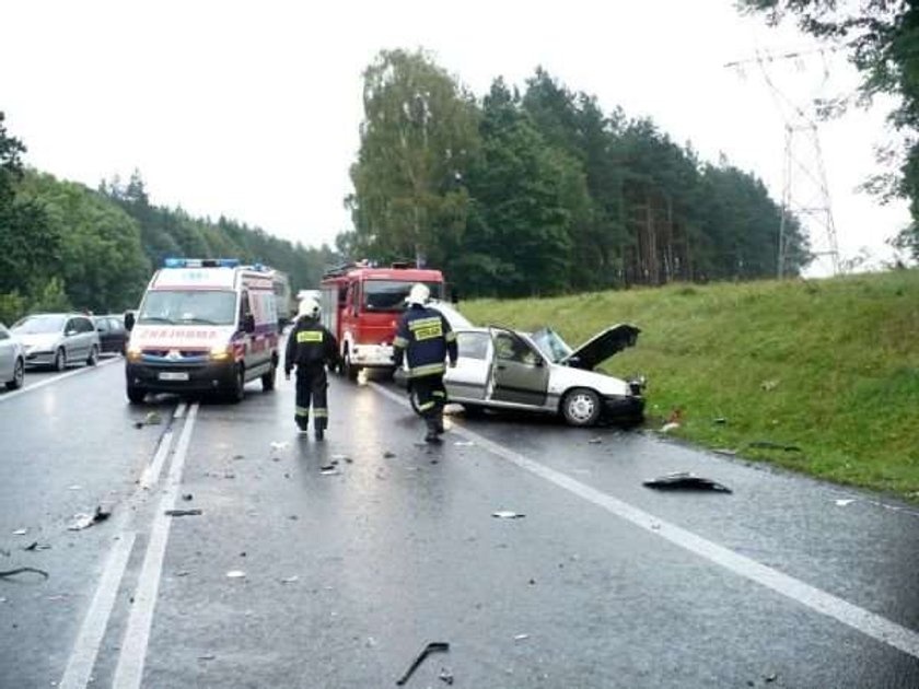 Masakra w drodze na grzyby! DUŻO ZDJĘĆ