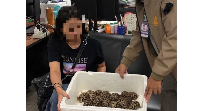 Na letisku v Bangkoku zatkli tínedžerku s 30 korytnačkami prilepenými na tele.