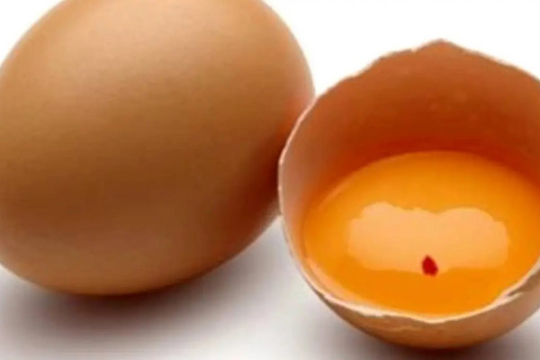 Почему в яйцах бывает кровь