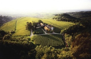 Własna winnica za kilka milionów euro