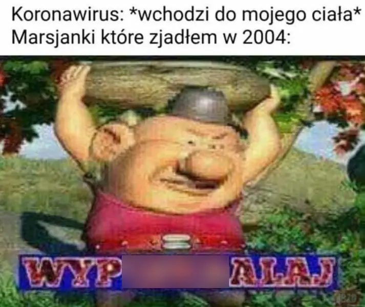 Memy z czasu pierwszego polskiego lockdownu