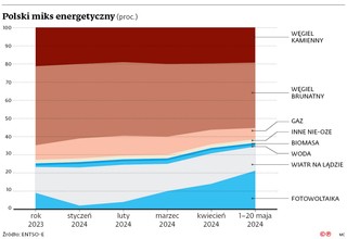 Polski miks energetyczny