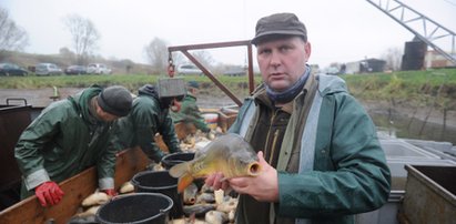 Szok! Aż tyle ma kosztować karp na święta