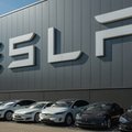 Tesla popełnia te same błędy, na których w latach 80. tracił General Motors - twierdzą analitycy
