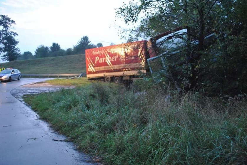 Wielki TIR wypadł z drogi. Skasował...