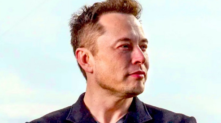 Mutatjuk kit választott Elon Musk a Twitter élére / Fotó: Twitter