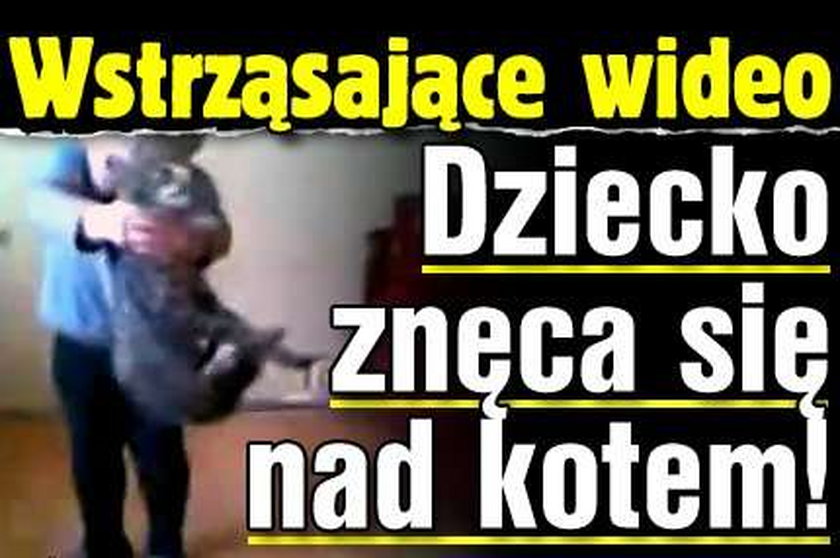 Wstrząsające wideo. Dziecko znęca się nad kotem!