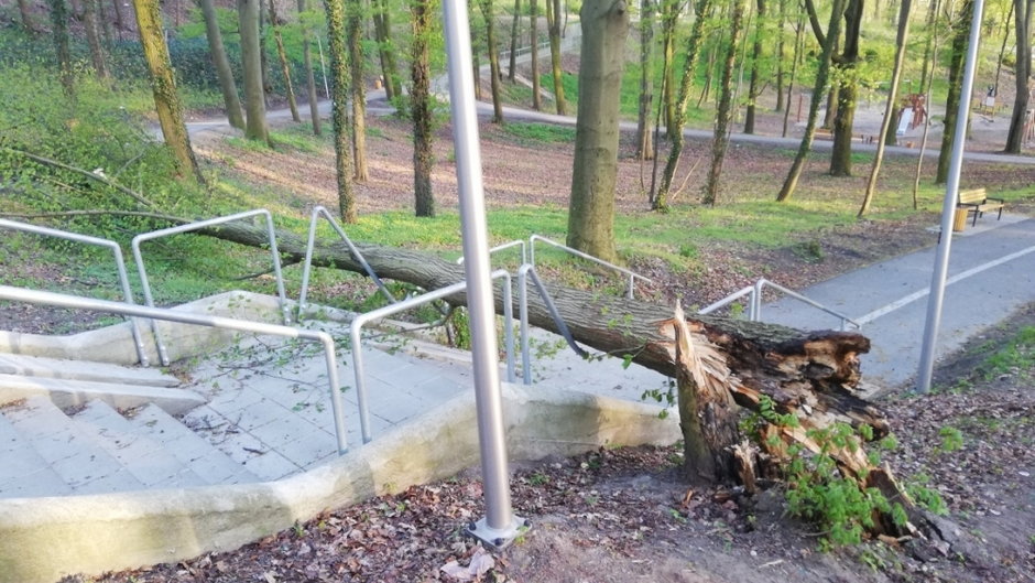 Przewrócone drzewo zniszczyło barierki na schodach