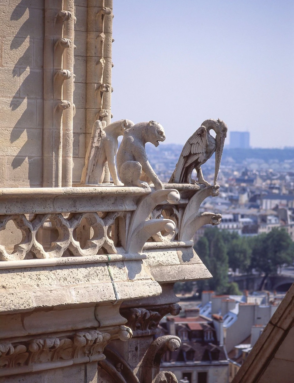 Gargojli na katedrali Notr Dam