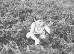 to imię było hitem w czasach prl. dziś niemal zniknęło