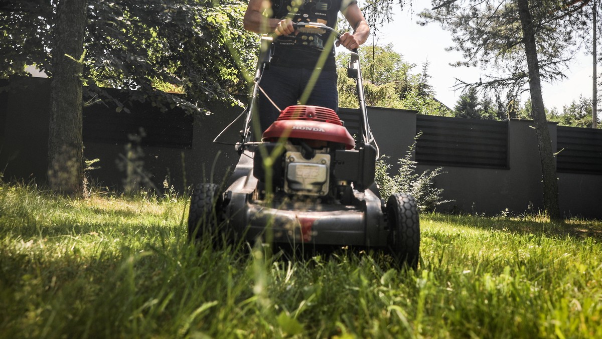 Koszenie trawy w kwietniu budzi kontrowersje. Mocne słowa eksperta