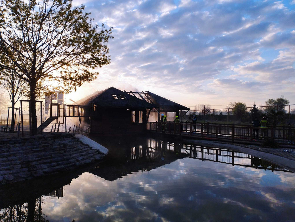 Pożar w Zoo Safari Borysew