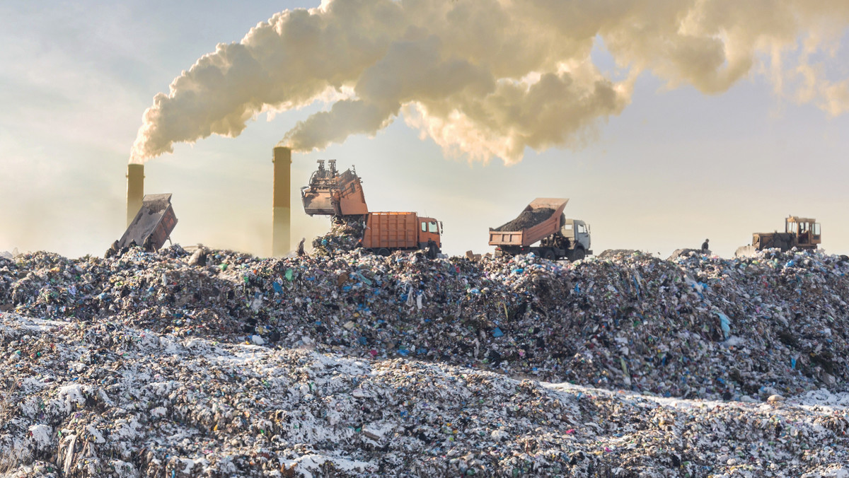 Szwecja: znaleziono wydajny sposób na rozkładanie plastiku