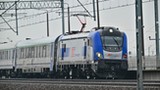 Intercity "Żubr" zderzył się z żubrami. Są opóźnienia na kolei
