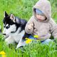 Child with puppy husky