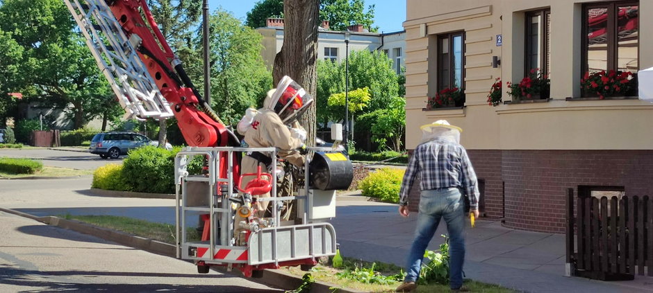 Około 50 tysięcy pszczół wstrzymało ruch na ulicy Dworcowej w Drawsku Pomorskim