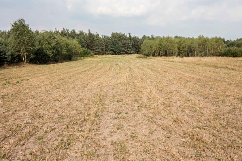 Czekają nas susze, huragany i upały