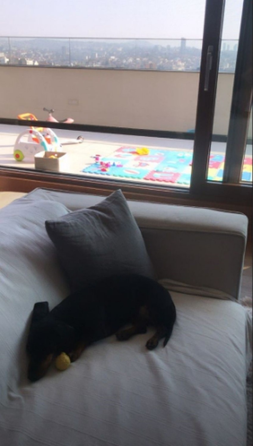 Jelisaveta Orašanin